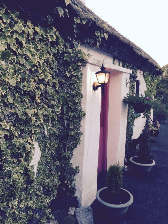 Teresas Cottage Donegal Town Zewnętrze zdjęcie